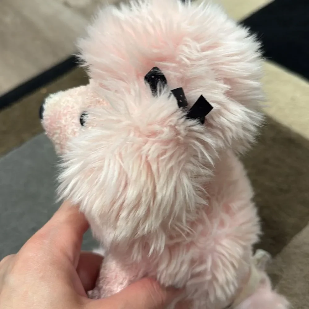 Plush Pink Dog Toy